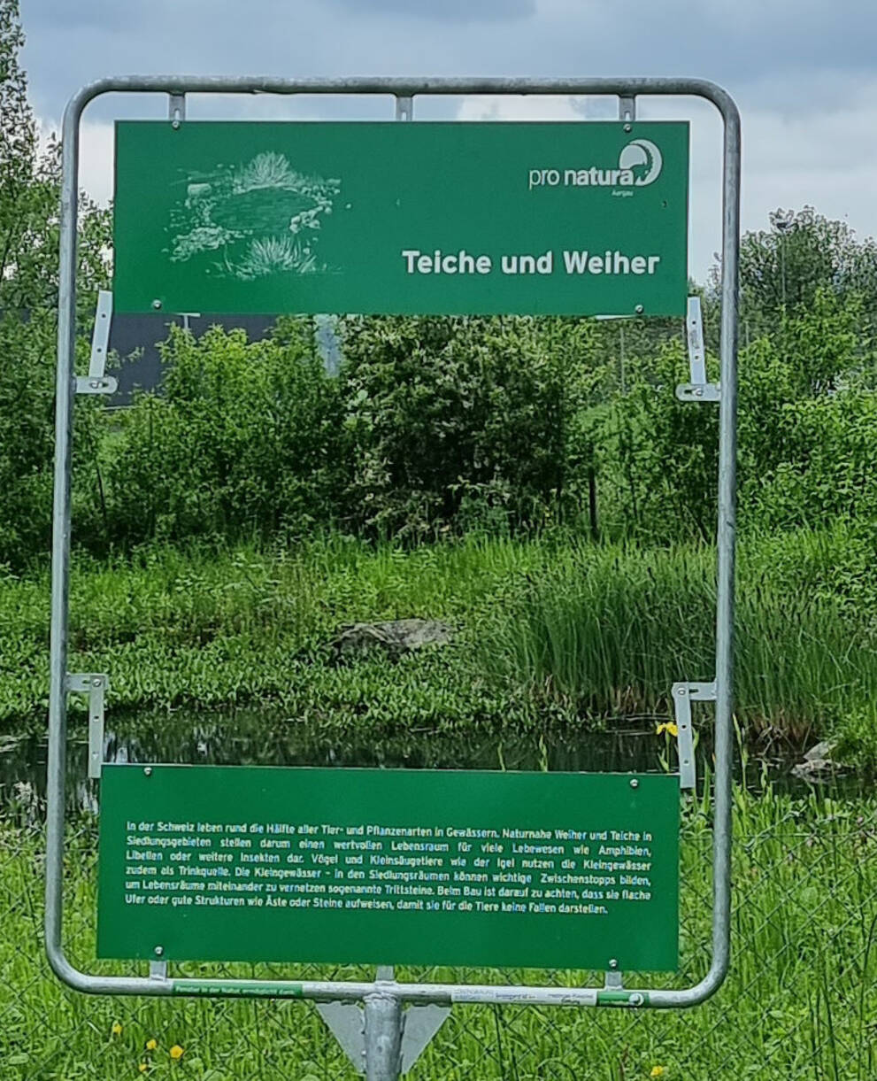 Fenster zu Teiche und Weiher