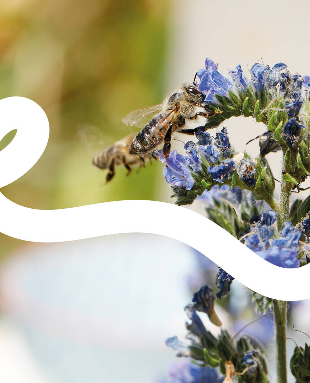 Naturgarten Header