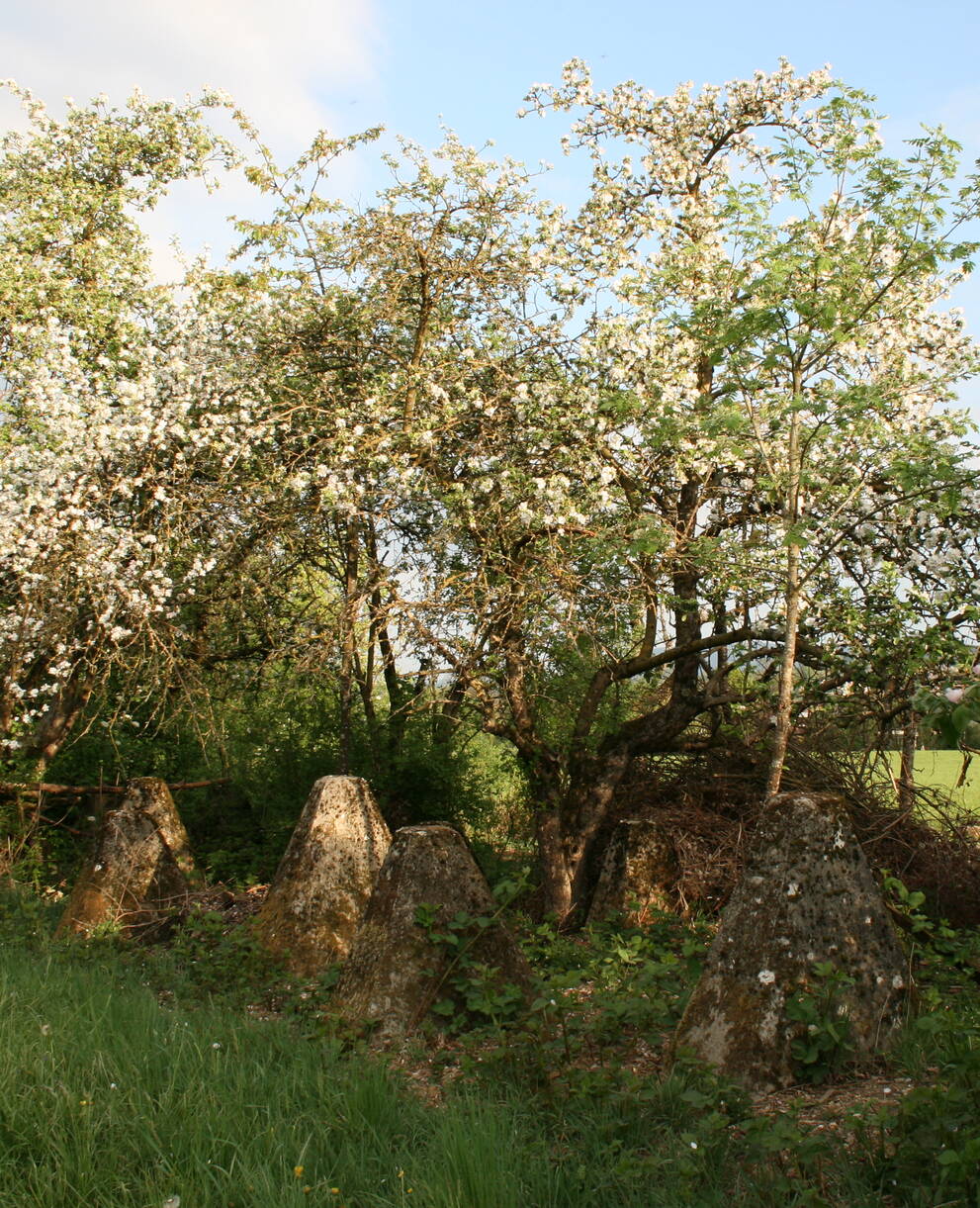 Aufgewertete Panzersperre im Frühling