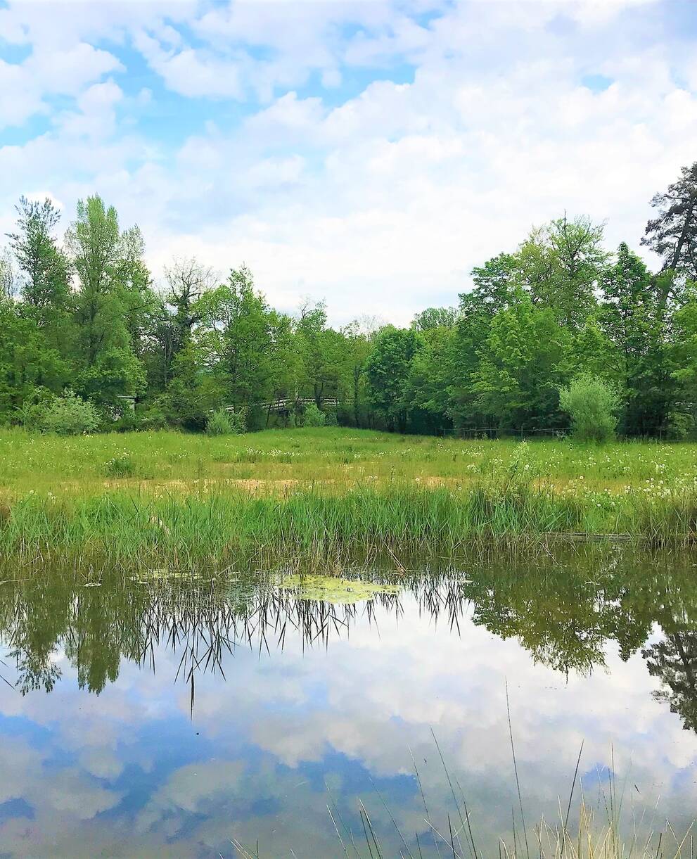 Naturschutzgebiet Auschachen