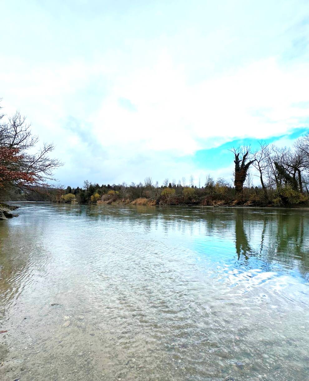 Auenlandschaft an der Reuss