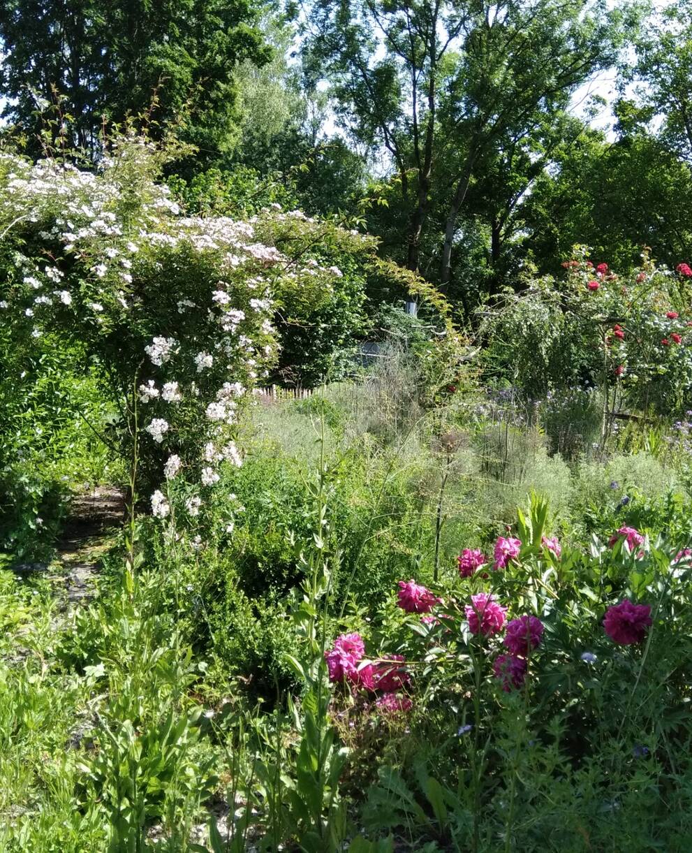 Heilpflanzenspirale im Haselhof