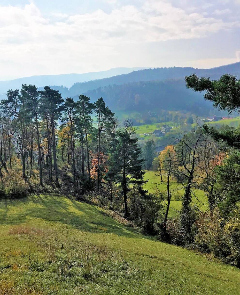 Typische Aargauer Kulturlandschaft