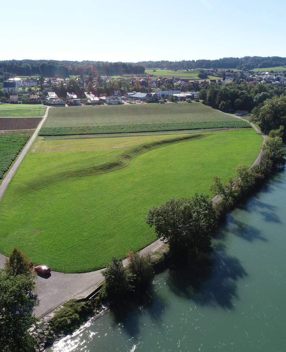 Auenrenaturierung Grien in Fischbach-Göslikon