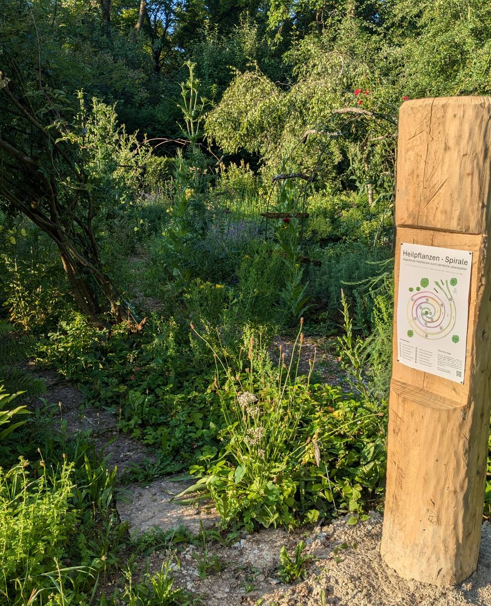 Heilpflanzenspirale im Haselhof