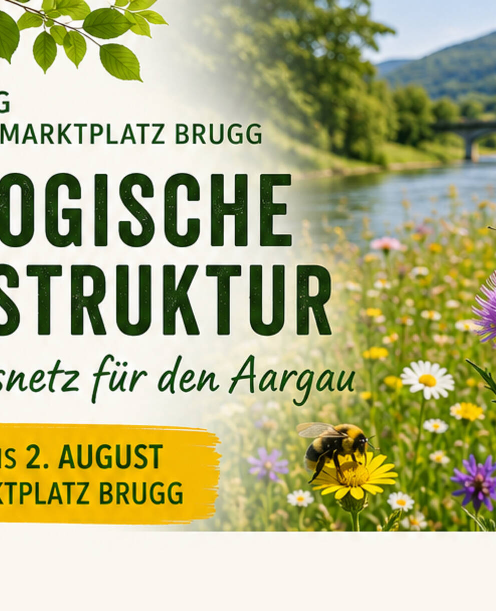 Flyer Ökologische Infrastruktur