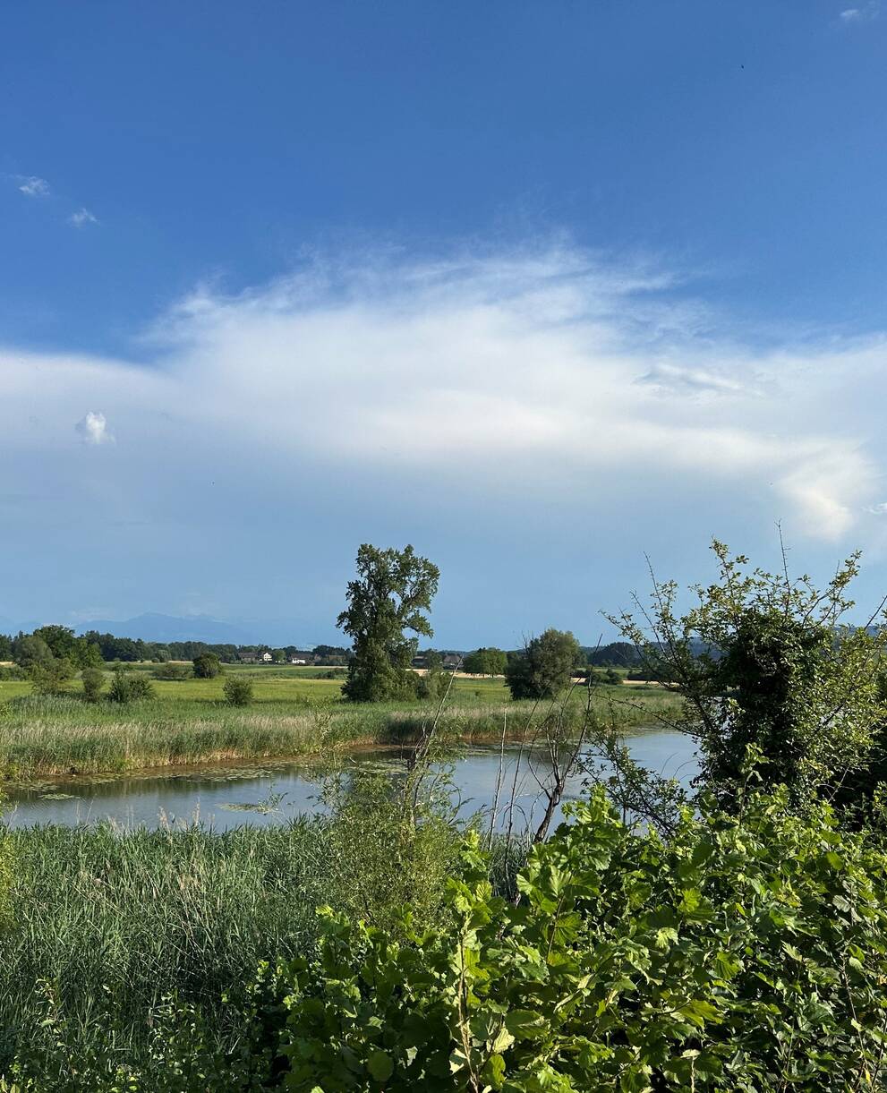 Ein Blick in den Auenschutzpark