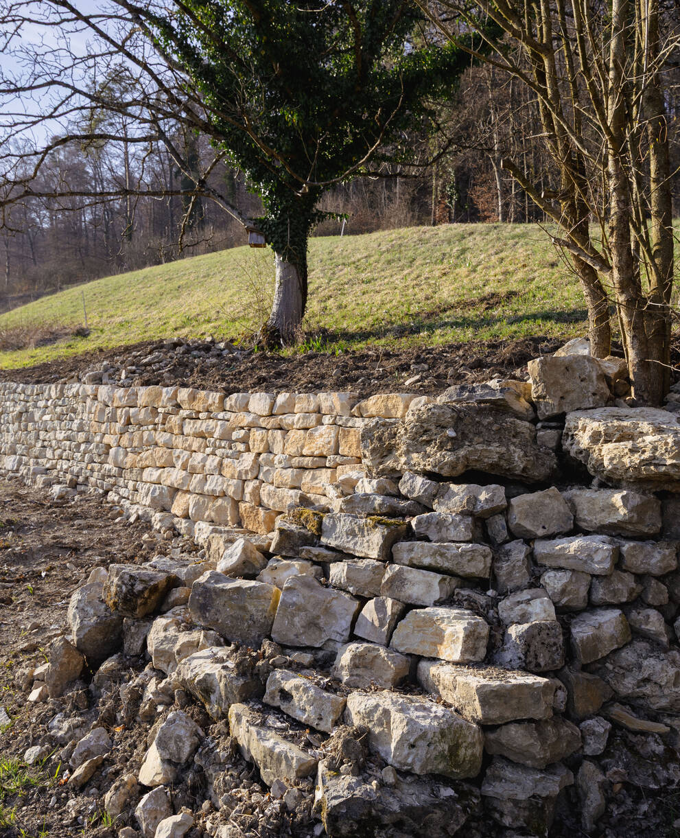 Trockensteinmauer in Bözenegg