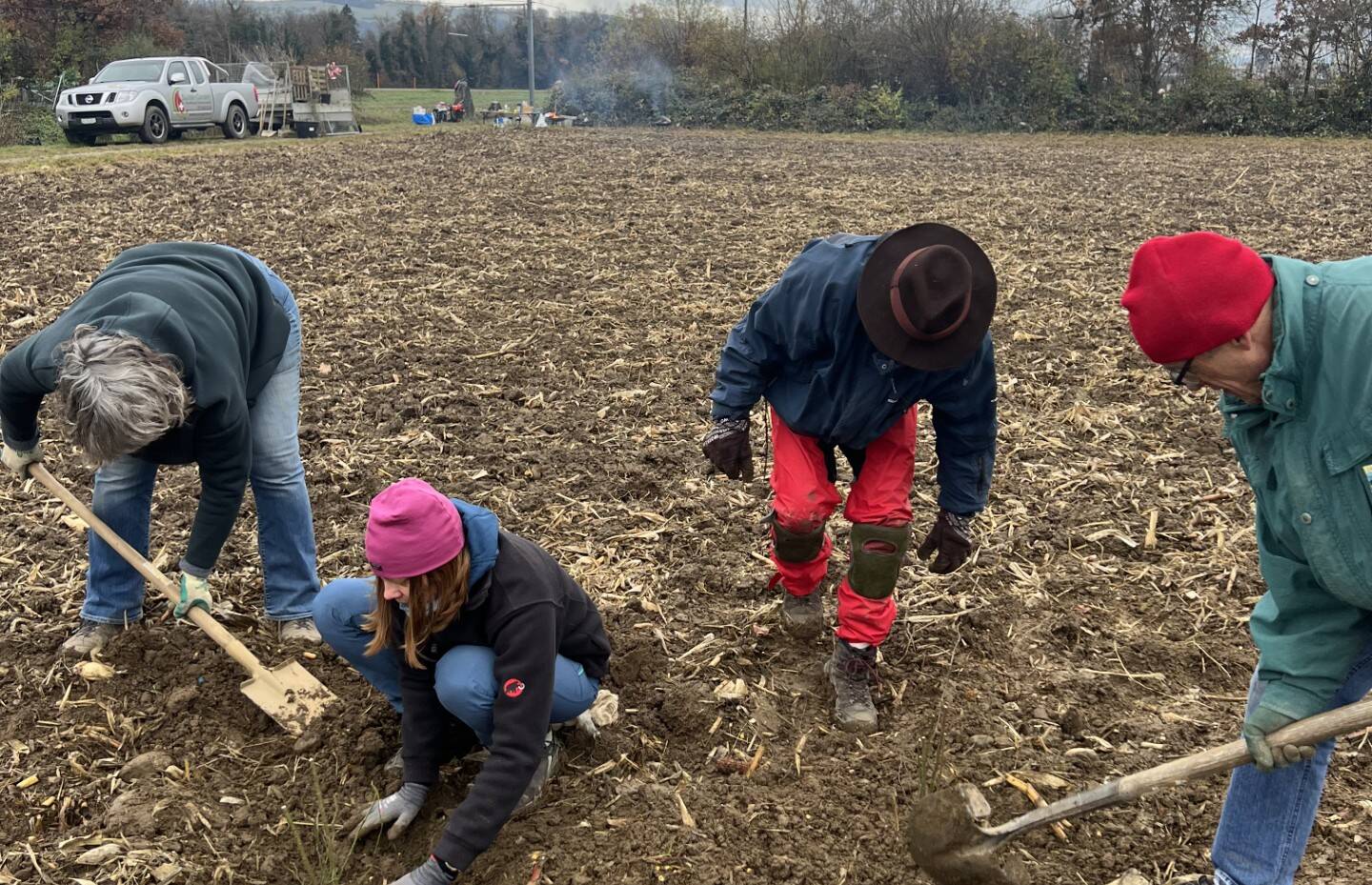 Heckepflanzung Untersiggenthal