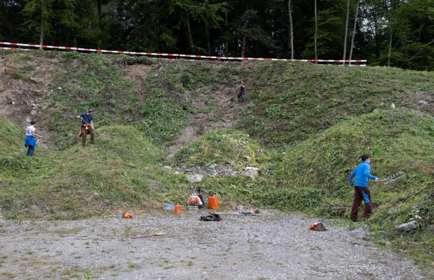 Die Fläche wurde vor Baustart gerodet