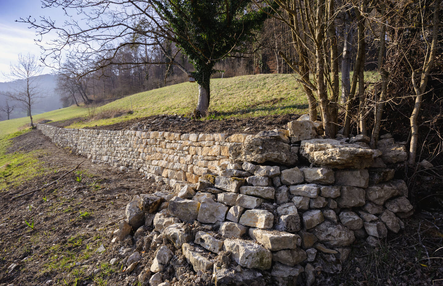 Trockensteinmauer in Bözenegg