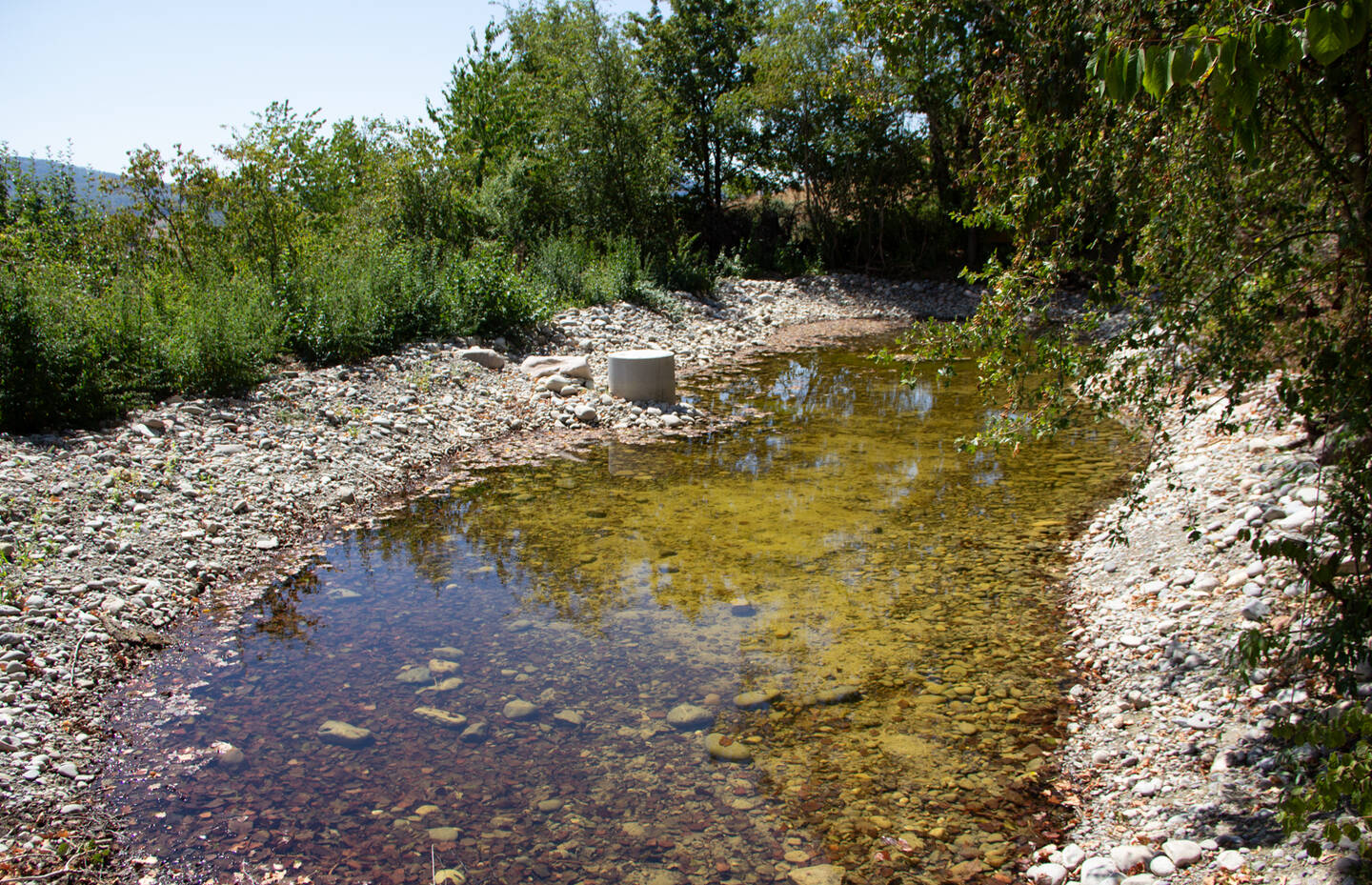 Weiher nach der Sanierung